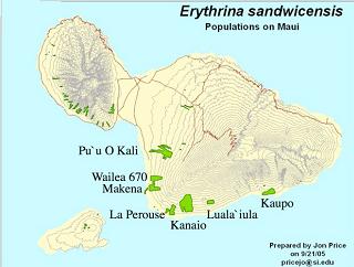 map of maui showing wailea